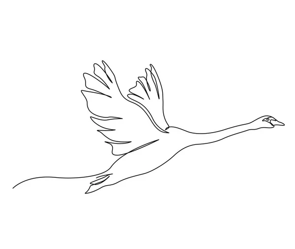 Continuous One Line Drawing Flying Swan Simple Mute Swan Outline — Stock Vector