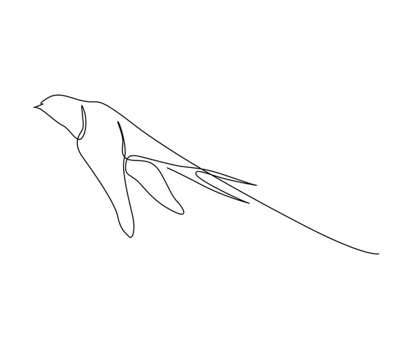 Nepřetržitá Kresba Létajícího Ptáka Vlaštovčího Jednoduchá Stodola Polykat Obrysové Vektorové — Stockový vektor