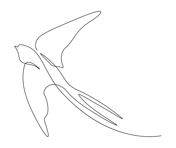 Nepřetržitá Kresba Létajícího Ptáka Vlaštovčího Jednoduchá Stodola Polykat Obrysové Vektorové — Stockový vektor