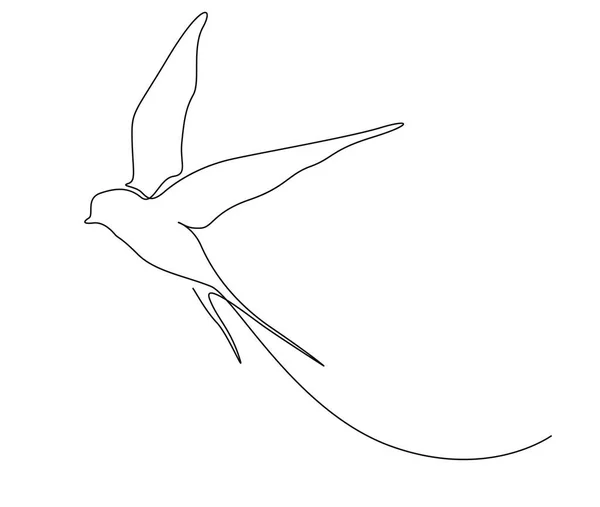 Sürekli Uçan Kırlangıç Kuşu Çizimi Basit Ahır Yutma Vektör Çizimi — Stok Vektör