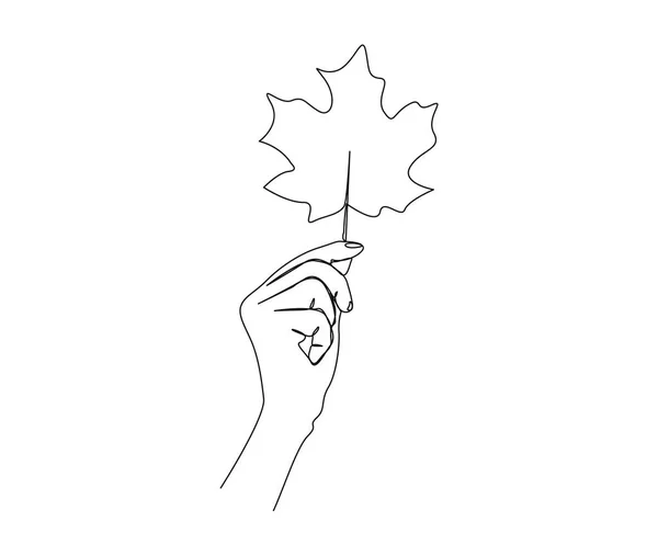 Akçaağaç Yaprağı Tutarken Sürekli Bir Çizgi Kanadalı Yaprak Çizgisi Çizimleri — Stok Vektör