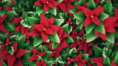 Güzel bir Noel çiçeği arkaplanı var. Poinsettia çiçekleri, kutsal yapraklar, böğürtlenler ve kar tanecikleri. Bu canlı, şenlikli arka plan animasyonu tam HD.