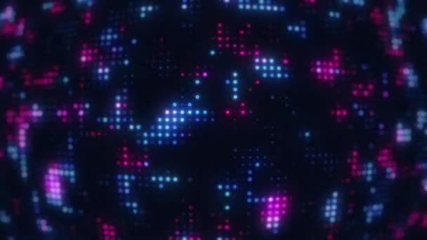 Luzes Rede Dados Digitais Rosa Azul Brilhantes Leds Piscantes Full — Vídeo de Stock