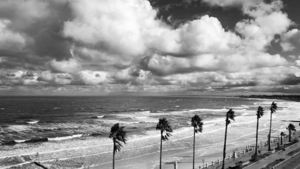 Чорно Білий Постріл Бурхливих Морів Драматичні Хмари Пальми Коливаються Вітром Стокове Фото