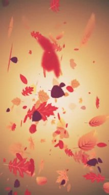 Dikey video - güzel sonbahar renkli yapraklar gökten düşüyor. Döngüleme, tam HD sonbahar renk arkaplanı