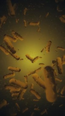 Mikrop kapmış virüs hücrelerinin mikroskobik görüntüsü. Tam HD ve döngü tıbbî hareket arkaplan canlandırması.