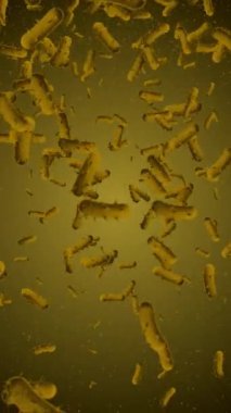 Mikrop kapmış virüs hücrelerinin mikroskobik görüntüsü. Tam HD ve döngü tıbbî hareket arkaplan canlandırması.