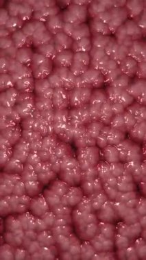 Dikey video, kanlı bağırsakları ya da bağırsakları olan dehşet verici bir korku filmi. Bu dehşet verici kan ve dehşet verici hareketli arka plan animasyonu tam bir HD ve kusursuz bir döngü..