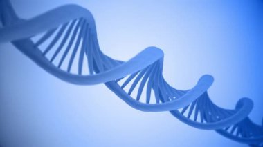 Dönen DNA çift sarmal iplikçiklerinin yakın görüntüsü ile bilim hareketi arka plan animasyonu. Bu genetik konsept arka plan tam bir HD ve kusursuz bir döngüdür..