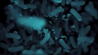 Mikroplu bakteri hücrelerinin kameraya doğru akışının mikroskobik görüntüsü. Mikrobiyoloji, sağlık ve bilimle ilgili projeler için ideal. Tam HD ve döngülü tıbbi geçmiş.