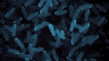 Çerçeveye yayılan mikrokobik bakteri hücrelerinin görüntüsü. Mikrobiyoloji, sağlık ve bilimle ilgili projeler için ideal. Tam HD ve döngülü tıbbi geçmiş.