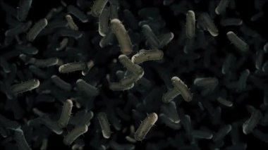 Yakın çekim, mikroskobik görüntü mikroplu bakteri hücreleri çerçeve boyunca akıyor. Mikrobiyoloji, sağlık ve bilimle ilgili projeler için ideal. Tam HD ve döngülü tıbbi geçmiş.