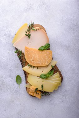 Farklı çeşit peynir. Parmesan, çedar, gouda ve maasdam.