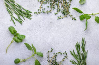 Biberiye, kekik ve fesleğen. Taze İtalyan bahçe bitkileri ve baharatları