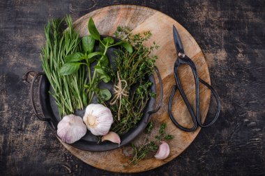Biberiye, kekik ve fesleğen. Taze İtalyan bahçe bitkileri ve baharatları