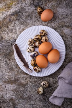 Taş kaplama arka planda tavuk ve bıldırcın yumurtası.