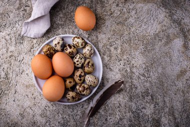 Taş kaplama arka planda tavuk ve bıldırcın yumurtası.