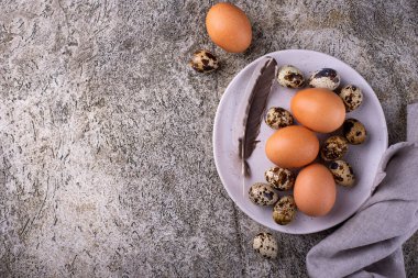 Taş kaplama arka planda tavuk ve bıldırcın yumurtası.