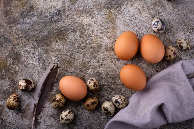 Taş kaplama arka planda tavuk ve bıldırcın yumurtası.