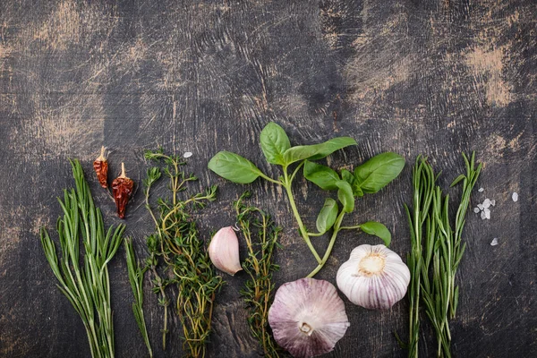 Rosemary Thyme Basil Fresh Italian Garden Herbs Spices — Stock Photo, Image