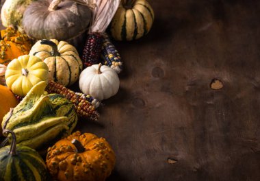 Balkabağı ve renkli mısır koçanları ile sonbahar sakin bir hayat. Sonbahar arkaplanı