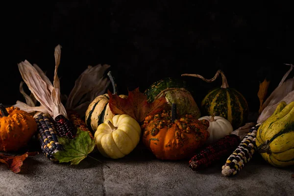 Осенний Натюрморт Тыквой Кукурузными Початками Осенний Фон — стоковое фото