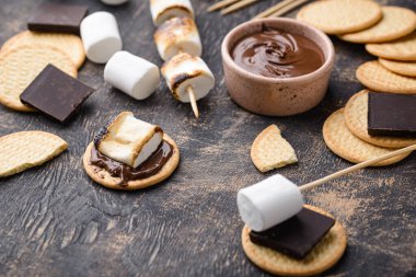 Smores plate with marshmallow, chocolate and crackers