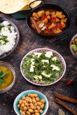 Hint yemeği çeşitleri. Biryani, palak paneer, chapati, dal, thali ve baharatlar