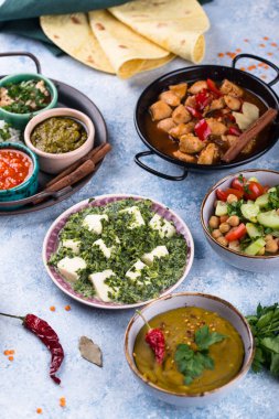 Hint yemeği çeşitleri. Biryani, palak paneer, chapati, dal, thali ve baharatlar