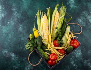 Çeşitli sebze çeşitleri. Yaz hasadı. Yeşil arka planda sağlıklı vejetaryen yemekleri