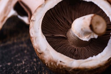 Siyah arka planda pişmemiş şampiyon mantarları.