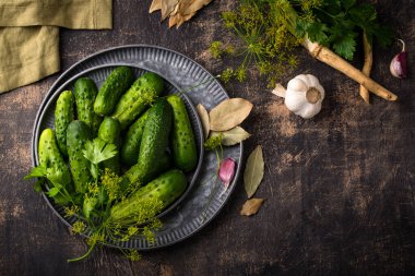 Sarımsak ve dereotlu salatalık turşusu ya da marine edilmiş salatalık malzemeleri.