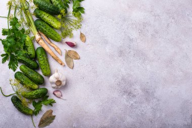 Sarımsak ve dereotlu salatalık turşusu ya da marine edilmiş salatalık malzemeleri.