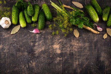 Sarımsak ve dereotlu salatalık turşusu ya da marine edilmiş salatalık malzemeleri.