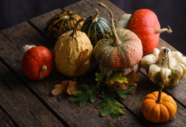 Çeşitli dekoratif balkabakları ve kuru yapraklar. Sonbahar hasat konsepti