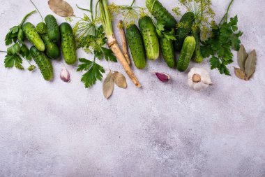 Sarımsak ve dereotlu salatalık turşusu ya da marine edilmiş salatalık malzemeleri.