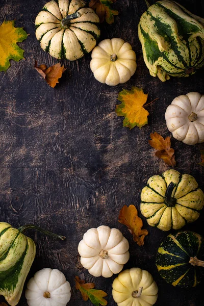 Autumn Fall Background Different Decorative Pumpkins — Stock Photo, Image