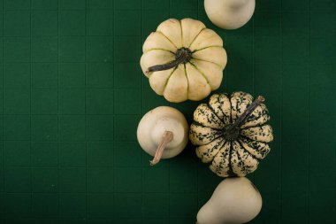 Yeşil arka planda dekoratif balkabağı. Sonbahar konsepti