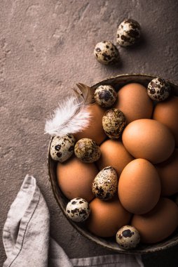 Kahverengi arka planda taze çiftlik tavuğu ve bıldırcın yumurtası.