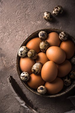 Kahverengi arka planda taze çiftlik tavuğu ve bıldırcın yumurtası.