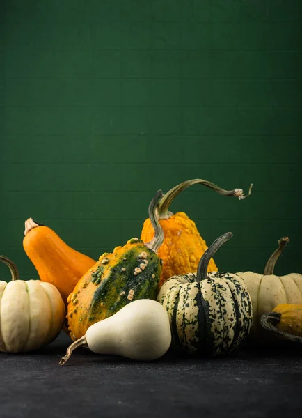 Decorative Pumpkin Green Background Autumn Concept — Stock Photo, Image