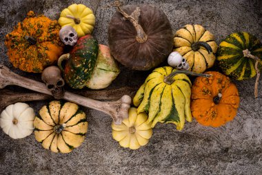 Zarif Cadılar Bayramı dekoratif balkabağı ve kemiklerle dolu