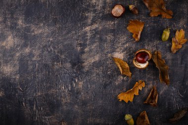 Farklı kuru yapraklarla sonbahar sonbahar arkaplanı.