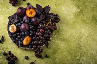 Mor meyveli erik, üzüm, yabanmersini ve fesleğen çeşitleri.
