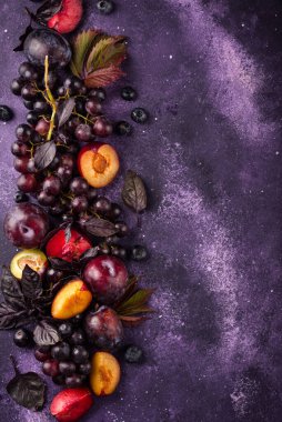Mor meyveli erik, üzüm, yabanmersini ve fesleğen çeşitleri.