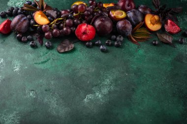 Mor meyveli erik, üzüm, yabanmersini ve fesleğen çeşitleri.