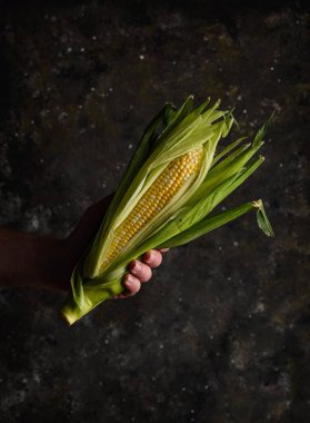 Siyah arka planda çiğ mısır. Karanlık ruh hali sade anahtar tarzı