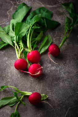 Yeşil arka planda taze organik turp. Karanlık ruh hali tarzı