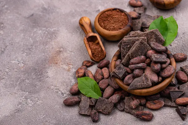 Poudre Cacao Naturelle Fèves Cacao Morceaux Chocolat Noir Images De Stock Libres De Droits