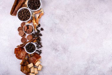 Farklı köpek maması çeşitleri ve atıştırmalıklar